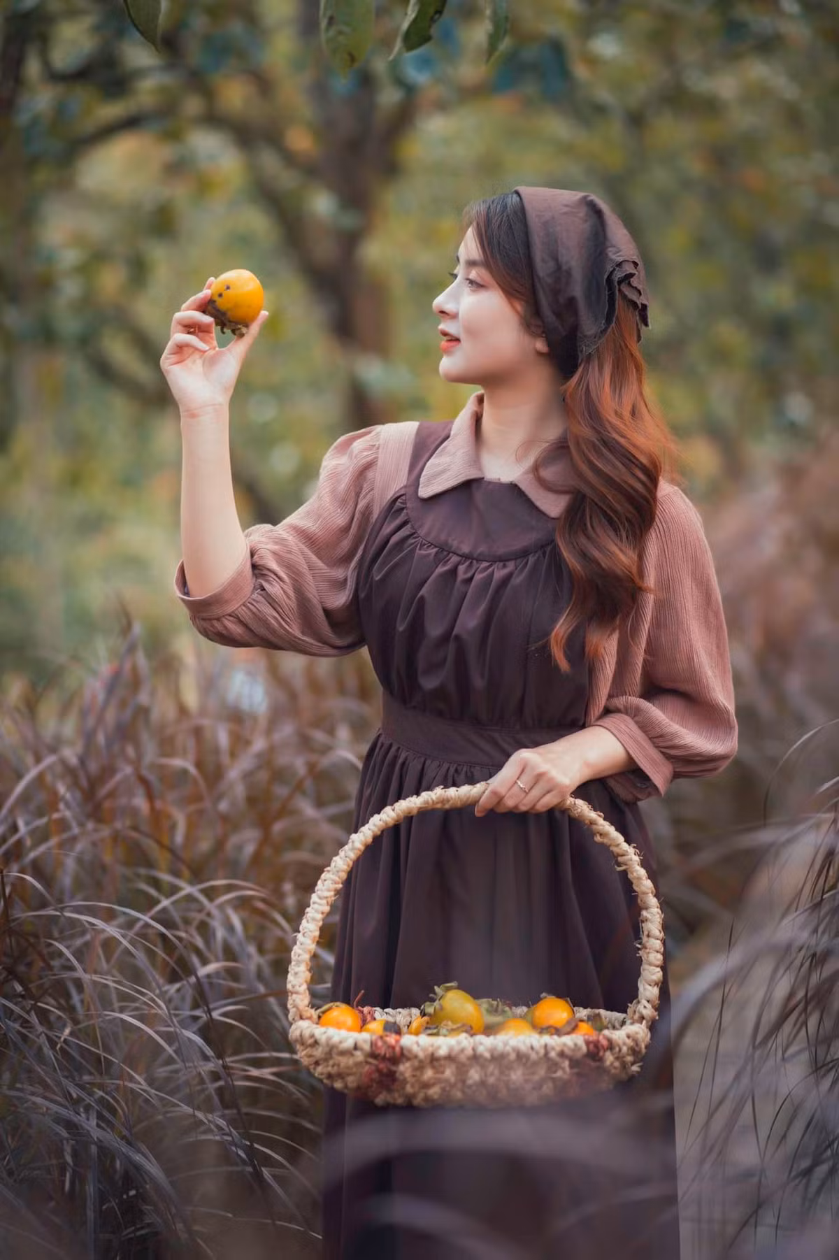 Vào mùa quả chín, lá sẽ dần rụng hết, để lộ những quả chín mọng. Tới đây, du khách có thể tự tay chọn những quả tươi ngon nhất trên cây để mua. Ảnh: Bích Phương