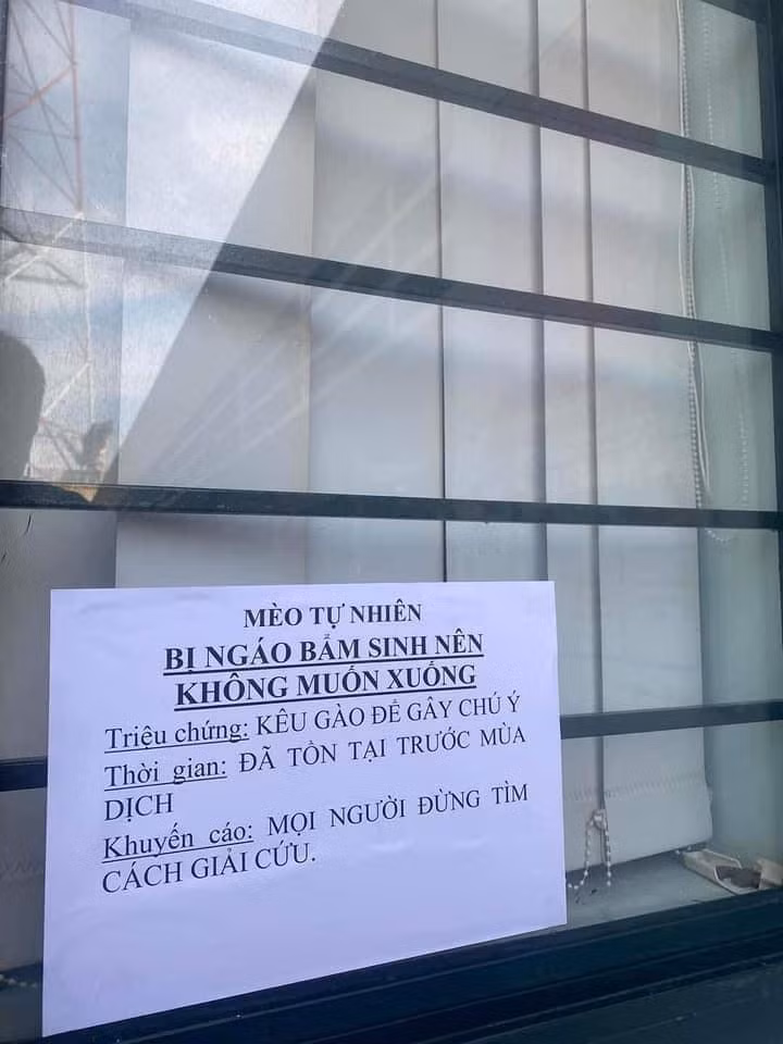 Tấm biển thông báo của một chủ nhân con mèo thích gây sự chú ý và trêu đùa trên lòng tốt của người khác.