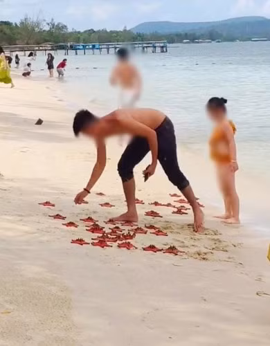 Mặt khác, nhiều ý kiến cũng cho rằng chính quyền nên có tấm bảng nhắc nhở, cấm du khách bắt sao biển lên chụp hình.