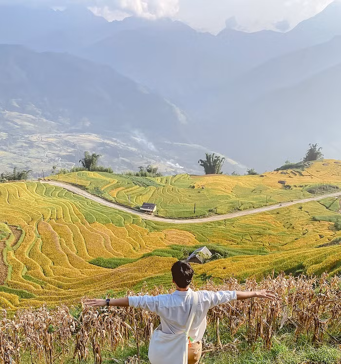Mỗi khi lúa vào mùa chín, cả bầu trời Y Tí như được thay lớp áo mới, rực rỡ và khởi sắc hơn bao giờ hết. Ảnh: Mạnh Tiến Khôi