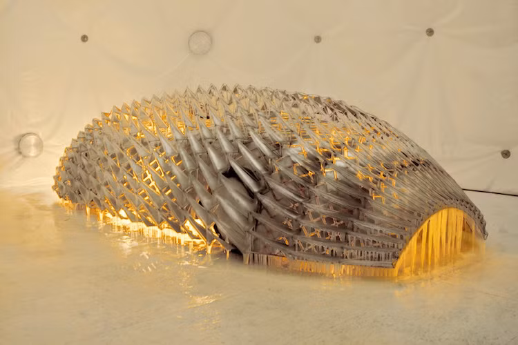 Phải tới 8 năm sau khi chiếc xe của Jenny Holzer, chương trình BMW Art Car mới trở lại với chiếc xe chạy hydro "dị" nhất BMW H2R của Olafur Ellason. Toàn bộ lớp vỏ nguyên bản của xe đã được thay bằng một lớp vỏ kết hợp giữa băng và thép nhằm nói lên mối liên hệ giữa xe hơi và sự thay đổi khí hậu.