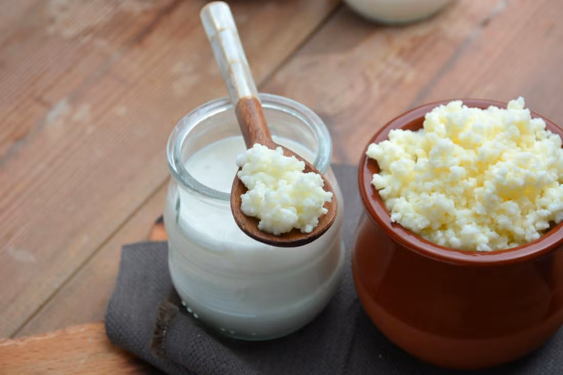 Kefir, thức uống lên men từ sữa bò hoặc dê. Nó là một nguồn men vi sinh tốt hơn sữa chua, và những người không dung nạp lactose thường có thể uống kefir mà không gặp vấn đề gì.
