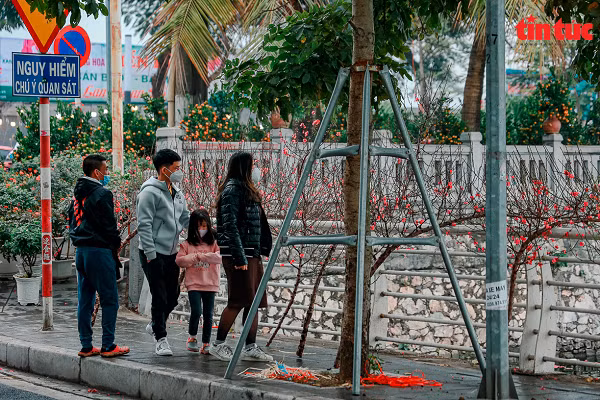 Nhiều người đã đi chọn mua cây cảnh từ thời điểm này.