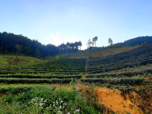 'Tuyệt tình cốc' ở chân trời Tây Bắc - Hình 11 'Tuyet tinh coc' o chan troi Tay Bac-Hinh-11