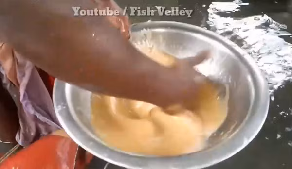 Sau đó họ dùng tay khuấy nhẹ cho trứng và tinh trùng hòa với nhau. (Nguồn: Youtube Fish Velley)