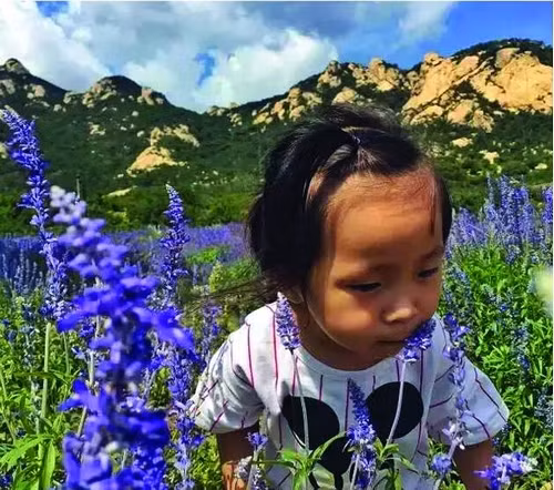 Zhu cho biết, anh đã kết bạn với những người lạ mà họ gặp và tìm kiếm cơ hội kinh doanh trong hành trình du lịch. Nhưng anh cho biết điều quan trọng nhất của kế hoạch này là giúp con gái nhỏ của mình cảm nhận thế giới bằng trực quan.