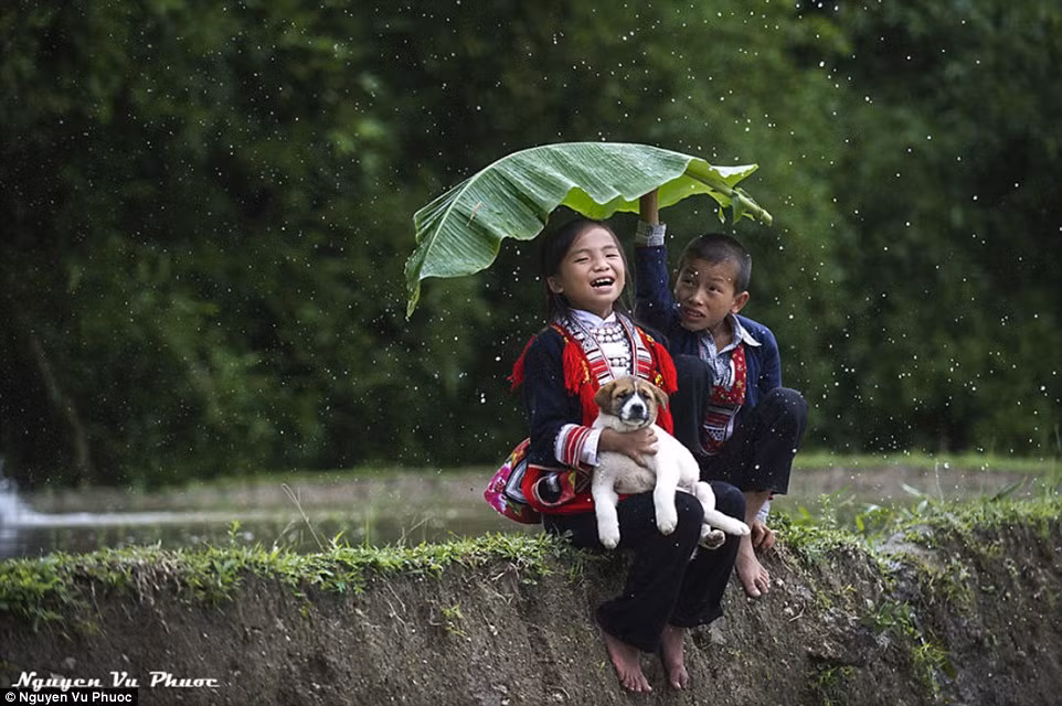 Cậu bé người Dao Đỏ cầm lá chuối che mưa cho bạn đang bế một con chó nhỏ.