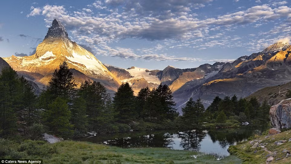 Rừng thông xanh mướt dưới chân núi Alps ở Thụy Sĩ.