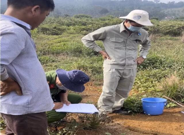 Xả thải ra môi trường, trang trại nuôi heo bị phạt gần 500 triệu - Hình 2 Xa thai ra moi truong, trang trai nuoi heo bi phat gan 500 trieu-Hinh-2
