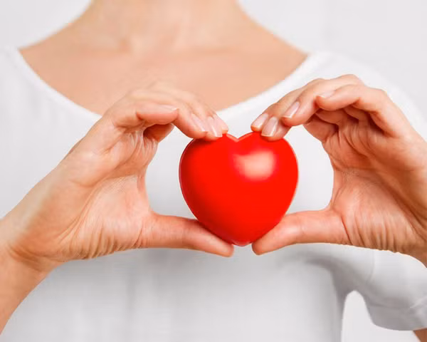 Tốt cho tim mạch: Theo Webmd, hồng chứa nhiều chất xơ, chất chống oxy hóa và khoáng chất. Những chất này là một phần của chế độ ăn chống xơ vữa động mạch. Khi đi vào cơ thể, chúng tác động giúp động mạch luôn thông thoáng, tránh xơ cứng và thu hẹp động mạch. Ảnh minh họa.
