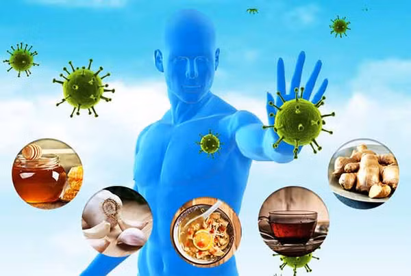 Tăng cường miễn dịch: Nhờ chứa các chất chống oxy hóa dồi dào, hồng rất hữu ích trong việc tăng cường hệ miễn dịch. Cụ thể, hồng chứa lượng lớn axit ascorbic (vitamin C) và có thể đáp ứng được khoảng 80% nhu cầu hàng ngày của chất dinh dưỡng này đối với cơ thể. Vitamin C rất có lợi để kích thích hệ thống miễn dịch và làm tăng việc sản xuất các tế bào bạch cầu giúp cơ thể chống lại vi khuẩn, vi rút và nhiễm nấm. Ảnh minh họa.