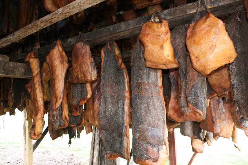 Món cá mập lên men còn được gọi là Hakarl. Ăn trực tiếp cá sẽ gây độc, nên người ta nghĩ ra cách chôn chúng vài tháng để tiêu độc, nhưng đồng thời tạo mùi xú uế kinh khủng như nước tiểu.