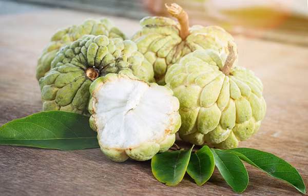 Na. Na có nhiều hạt đen nhánh, to, rõ mang ước vọng sinh sôi lộc nở góp phần tô điểm thêm nét xanh tươi cho mâm cỗ ngày Tết Trung Thu. Loại quả này còn mang tải ý nghĩa mong muốn, nguyện cho cuộc sống mãi trường tồn của con người. Ảnh: IT