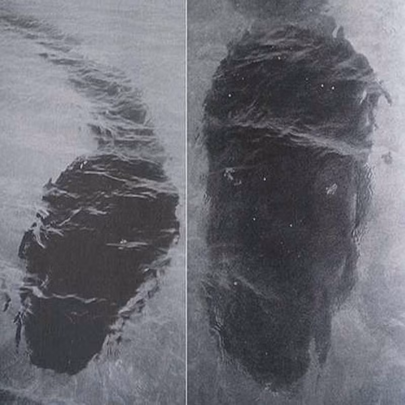 Bức ảnh "Quái vật biển" được nhiếp ảnh gia Robert Le Breton Serrec chụp tại đảo Hook, Australia năm 1964. Sinh vật bí ẩn gây nhiều tò mò vì có hình dáng giống nòng nọc nhưng chiều dài cơ thể lên đến 25m. Đến nay, mọi người vẫn chưa biết đó thực sự là gì.