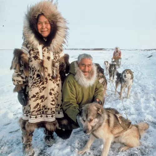 Vì vậy, việc người phụ nữ Eskimo sinh được nhiều con sẽ trở thành niềm vui chung của cả cộng đồng.