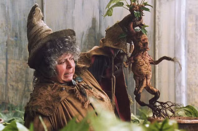 Mandrake là tên loại " cây tử thần" trong nhiều truyền thuyết, giai thoại dân gian ở châu Âu.