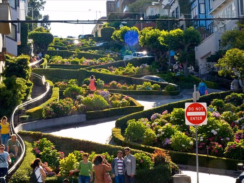 Với độ dốc và hẹp như vậy, Lombard Street cho phép các phương tiện giao thông chạy với tốc độ 5 km/h.