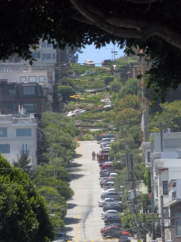 Lombard Street trở thành địa điểm hấp dẫn du khách bởi các vườn hoa được trồng dọc hai bên đường.