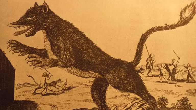 Vụ tấn công đầu tiên của quái thú bí ẩn này là vào tháng 6/1764. Jeanne Boulet, người chăn dắt một đàn cừu, được cho là nạn nhân đầu tiên của sinh vật bí ẩn rùng rợn trên.