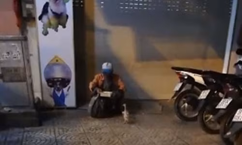 Hình ảnh chú vịt quấn quýt không rời ông lão khiến nhiều người cảm động.