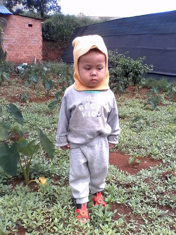 Be trai 3 tuoi mat tich bi an o Da Lat