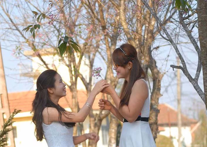 Dep ngo ngang mai anh dao no bung don Tet 2015-Hinh-5