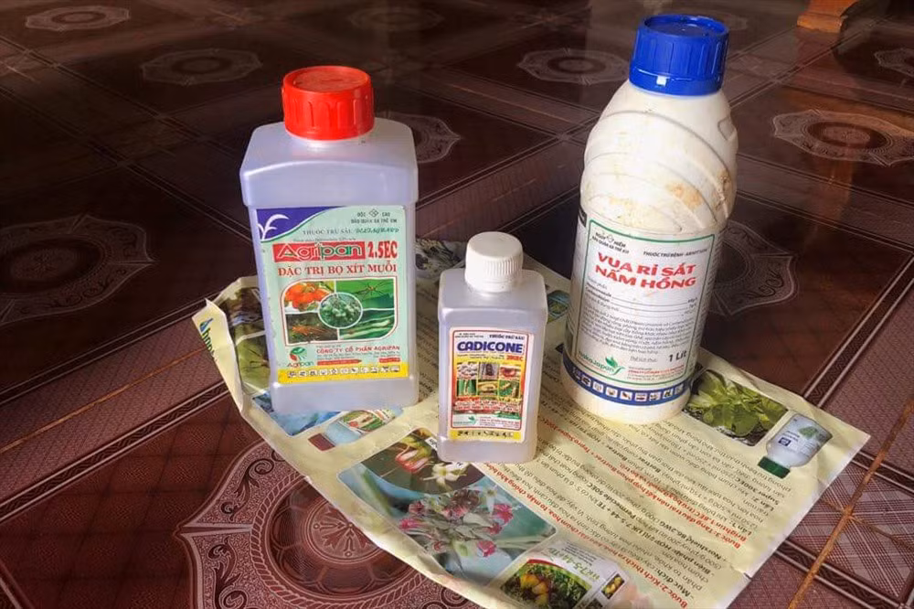 Nghi van bo thuoc sau vao be nuoc an dau doc ca gia dinh