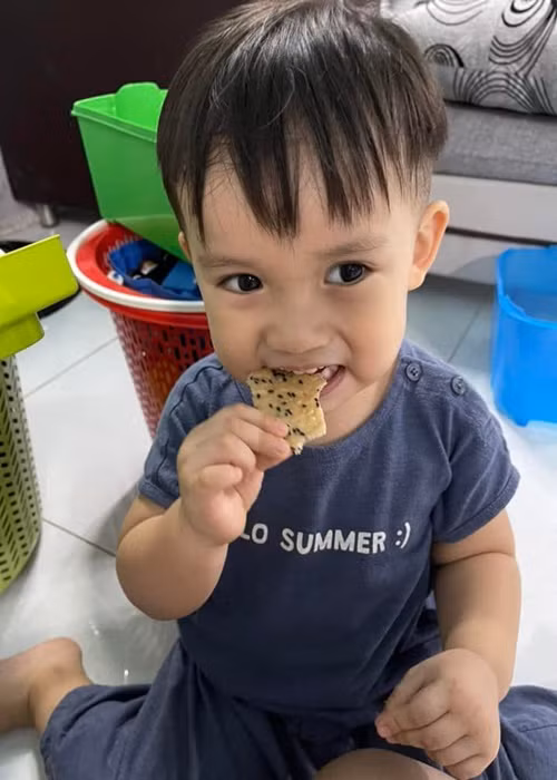 Khi con trai đầu lòng lên 3 tuổi, Thụy Vy và Tiến Đạt lên kế hoạch sinh thêm con. Ảnh: FBNV