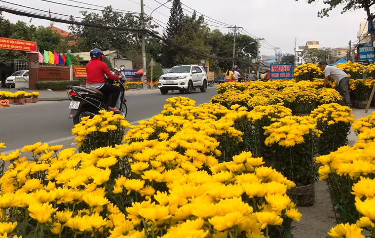Một tuyến đường được nhiều người bày bán hoa, trái dịp Tết ở quận 9 (TP.HCM) nhưng rất vắng người qua lại vào trưa 30 Tết.