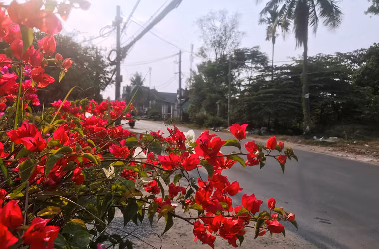 Đường "rất nguy hiểm" Nguyễn Duy Trinh bình yên trong chiều 30 Tết.