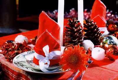 Tại Plaza Ballroom khách sạn Sofitel Plaza Hà Nội, tiệc Noel với nhiều chương trình ẩm thực, âm nhạc có mức giá 2.260.000 đồng/người lớn và 1.580.000 đồng/trẻ em 13 - 17 tuổi. Riêng trẻ từ 4-12 tuổi, mức chi phí sẽ là 960.000 đồng/người.