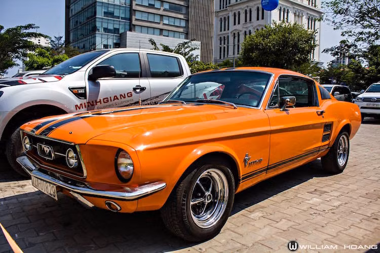 Ra mắt lần đầu vào năm 1964, kể từ đó tới nay Ford Mustang đã trở thành một trong những mẫu xe "cơ bắp" nổi tiếng nhất, và đồng thời cũng gắn liền với hình ảnh của nước Mỹ.