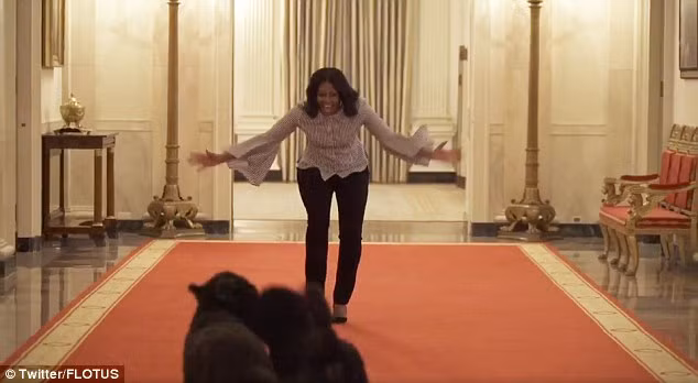 Sáng 18/1, Đệ nhất phu nhân Michelle Obama đã chia sẻ đoạn video ngắn trên Twitter quay cảnh bà đi dạo cùng hai chú chó Sunny và Bo lần cuối trước khi rời Nhà Trắng.