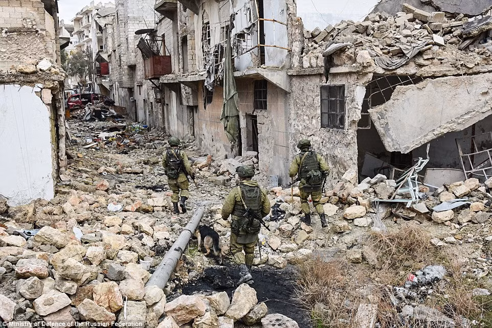 Chó nghiệp vụ được sử dụng để hỗ trợ binh sĩ Nga trong quá trình dọn dẹp thành phố Aleppo đổ nát sau chiến tranh.