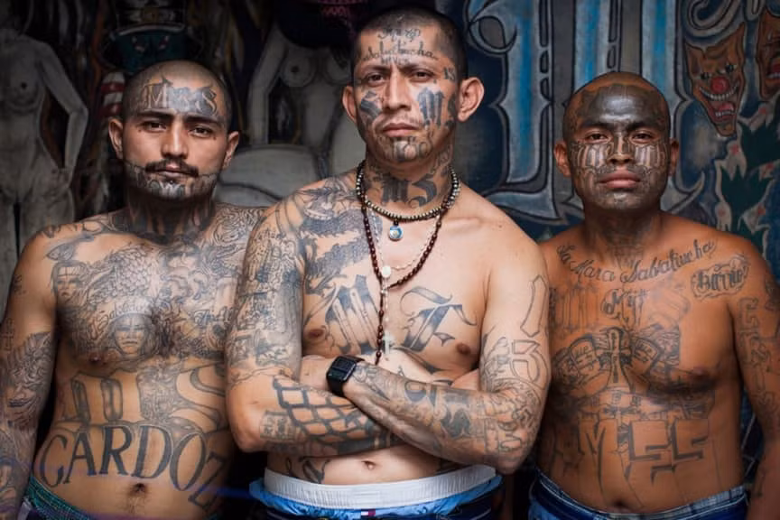 Mara Salvatrucha là một băng đảng tội phạm lớn và nguy hiểm, hoạt động trên khắp thế giới. Hoạt động tội phạm của chúng bao gồm buôn lậu và bán thuốc phiện, bán súng ở chợ đen, giết người thuê, buôn người, cướp bóc và cưỡng hiếp phụ nữ,...