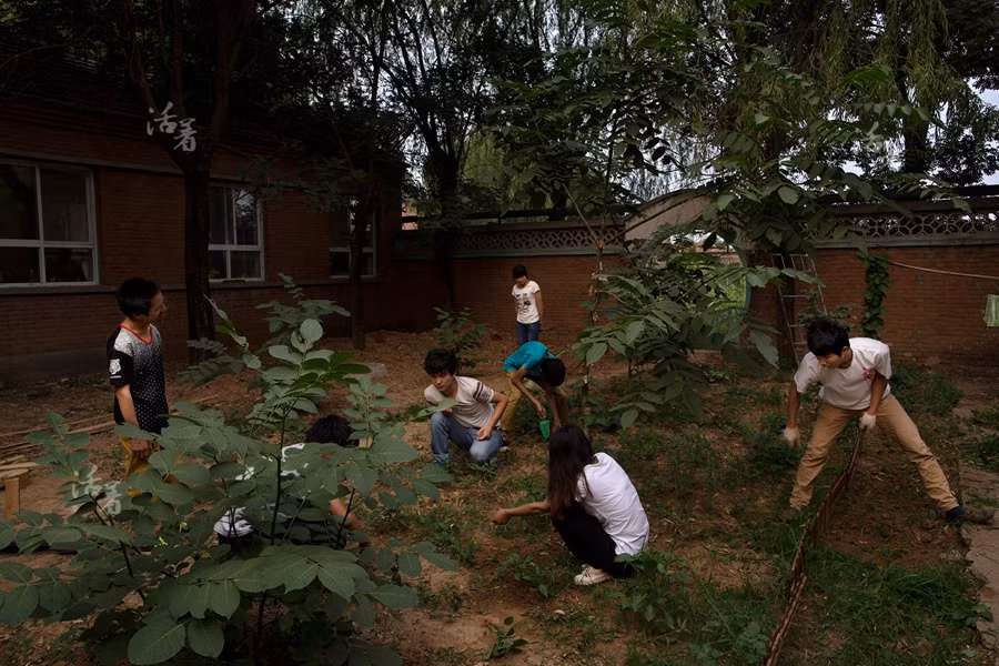 Các sinh viên chăm sóc vườn rau trong trường. Được biết, những người theo học ở đây không phải đóng học phí.