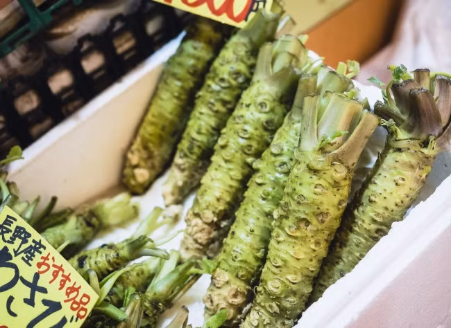 Loại cây này chỉ trồng được ở Nhật Bản. Vì vậy, ngoài đất nước này, hầu như chúng ta chỉ được ăn wasabi giả: một hỗn hợp của cải ngựa, gia vị và thuốc nhuộm.