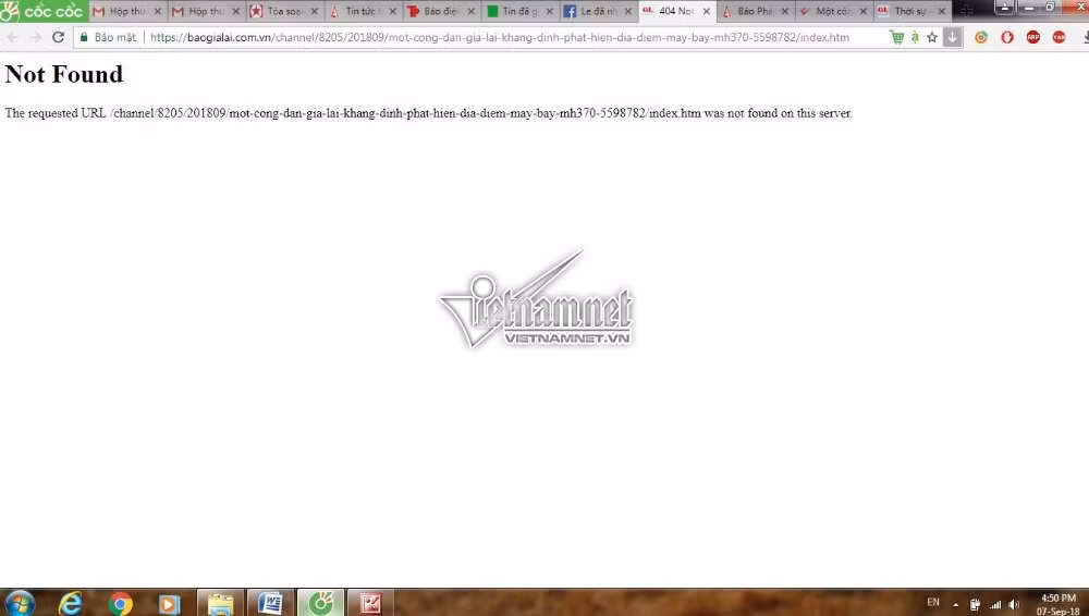 Thong tin tim thay may bay MH370 tren bao Gia Lai la hoang tin-Hinh-2