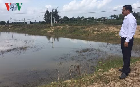 Hàng chục ao nuôi tôm như thế này đang bị bỏ hoang.