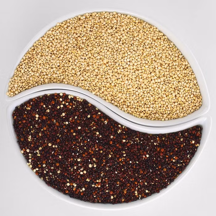 Diêm mạch: Hạt diêm mạch và kiều mạch rất tốt cho những người bị bệnh celiac và không dung nạp gluten. Diêm mạch cũng giàu protein và vitamin nhóm B, axit béo omega-3. Mặc dù diêm mạch không có hàm lượng calo thấp nhưng nó có chỉ số Glycemic thấp, có nghĩa là nó sẽ không gây tăng đột biến lượng đường trong máu.