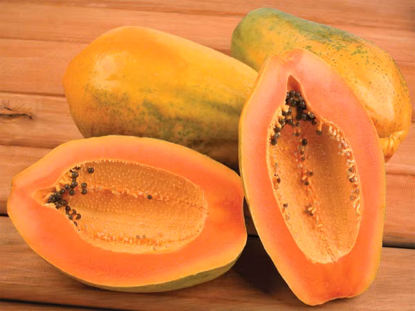 Đu đủ chứa nhiều khoáng chất, enzim, vitamin và chất chống oxy hoá. Một cốc đu đủ có thể cung cấp cho bạn 29% nhu cầu vitamin A hàng ngày cho bạn. Nguồn ảnh: Boldsky.