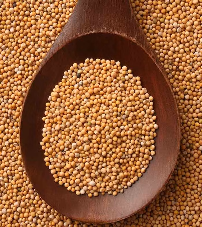 Hàm lượng vitamin và khoáng chất có trong hạt mù tạt giúp thúc đẩy tóc tăng trưởng nhanh chóng.