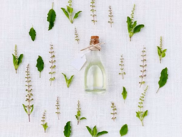 Sâm là một loại thảo mộc rất hiệu quả trong việc giảm cân, đánh tan mỡ bụng. Uống trà nhân sâm sẽ loại bỏ chất béo bụng nhanh chóng.