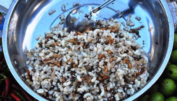 Kiến lửa băm: Larb Mote Daeng được làm từ kiến lửa và trứng của nó. Thật ra, khi dọn lên bàn ăn thì trứng kiến và kiến đều đã được băm nhuyễn nên người ăn sẽ không hình dung được nguyên liệu bên trong. Vị chua chua của kiến hòa với vị bùi béo của trứng khiến món ăn này trở nên rất hấp dẫn.