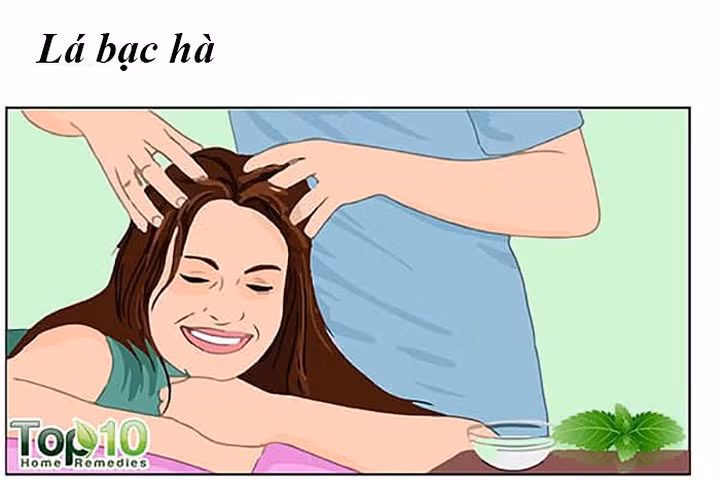 Bạc hà là một loại thảo dược khác mà bạn có thể sử dụng để điều trị rụng tóc và cải thiện sức khỏe tóc. Tinh dầu bạc hà kích thích lưu thông máu đến da đầu giúp kích thích nang tóc và do đó thúc đẩy sự phát triển của tóc.