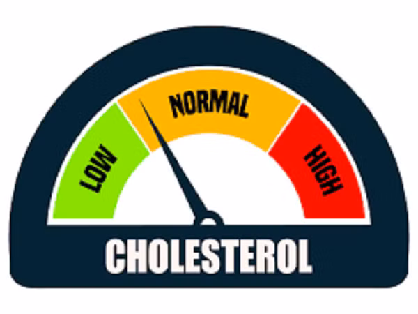 Ăn ức gà có thể làm giảm nguy cơ bị cholesterol cao và các loại bệnh tim khác nhau. Vì vậy, hãy ăn thường xuyên hơn để giảm nguy cơ đột quỵ.