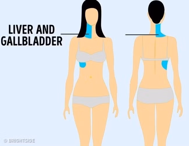 Các cơn đau ở gan và túi mật không dễ xác định vì chúng có thể gây đau ở vai hoặc cổ. Và người bệnh thường đổ lỗi cho việc thiếu tập thể dục hoặc tiêu tốn quá nhiều thời gian trên máy tính.