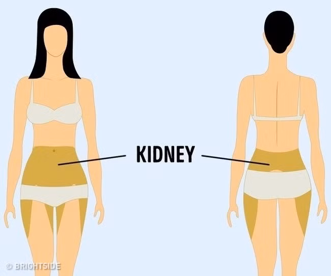 Đau thận thường khó xác định vì sự đau đớn sẽ nằm ở toàn bộ phần lưng dưới, bụng, hông và xương chậu. Nếu cơn đau không biến mất, tốt nhất là đi khám bác sĩ.