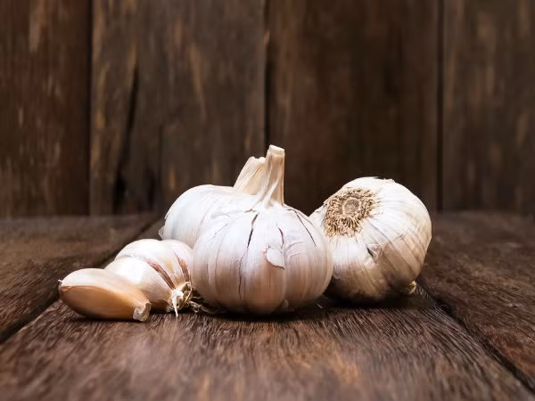 Tỏi chứa allium, hợp chất giúp làm chậm phát triển khối u và ngăn ngừa nguy cơ.
