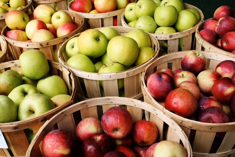 Táo chứa hàm lượng pectin dồi dào, có tác dụng nhuận tràng và làm mềm phân. Ngoài ra, táo cũng giúp cải thiện sức khỏe tiêu hóa bằng cách tăng số lượng vi khuẩn có lợi trong đường ruột. Bạn nên ăn táo cả vỏ vì nó chứa nhiều chất xơ hơn.